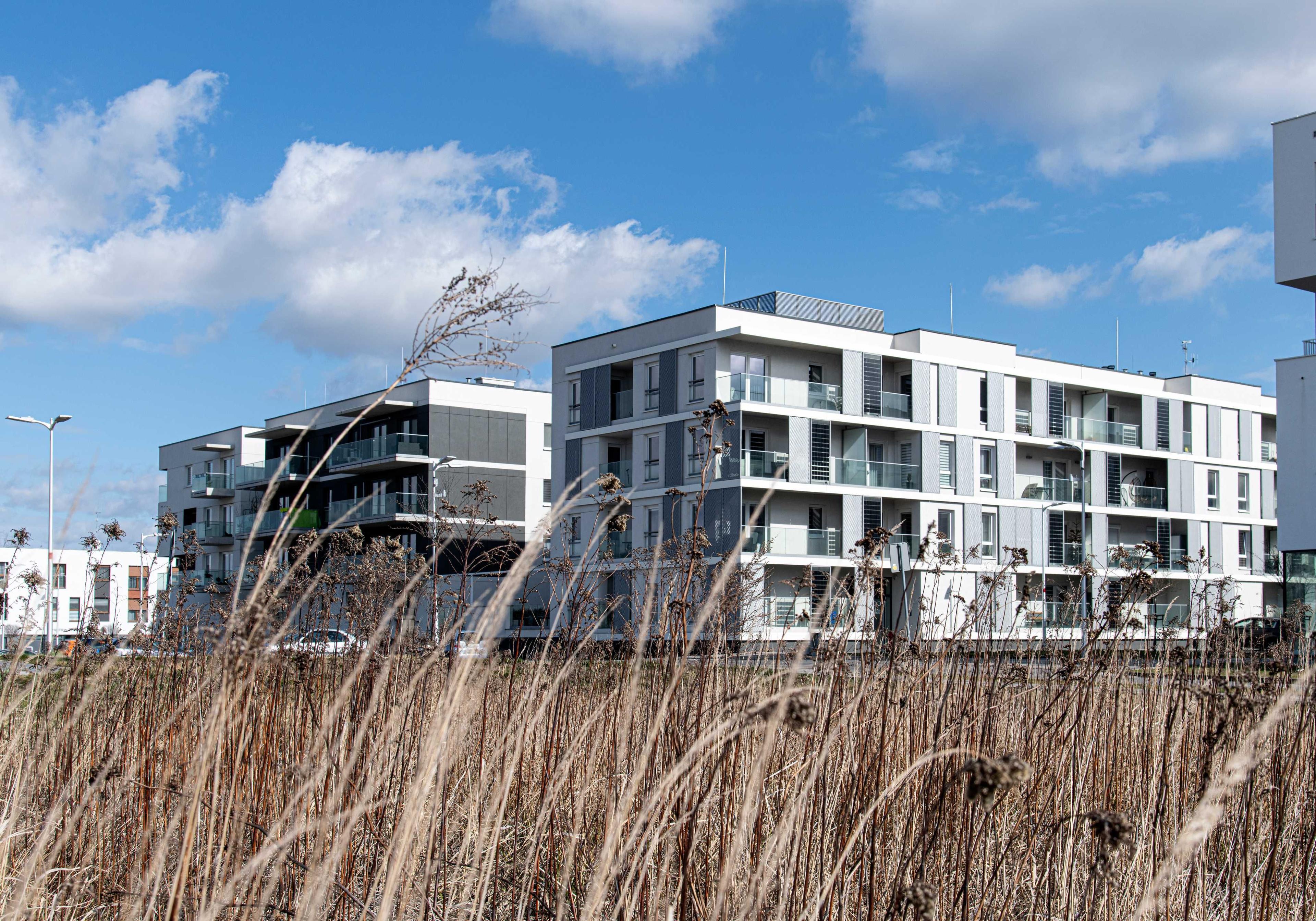 Spirala Czasu -  (101).jpg