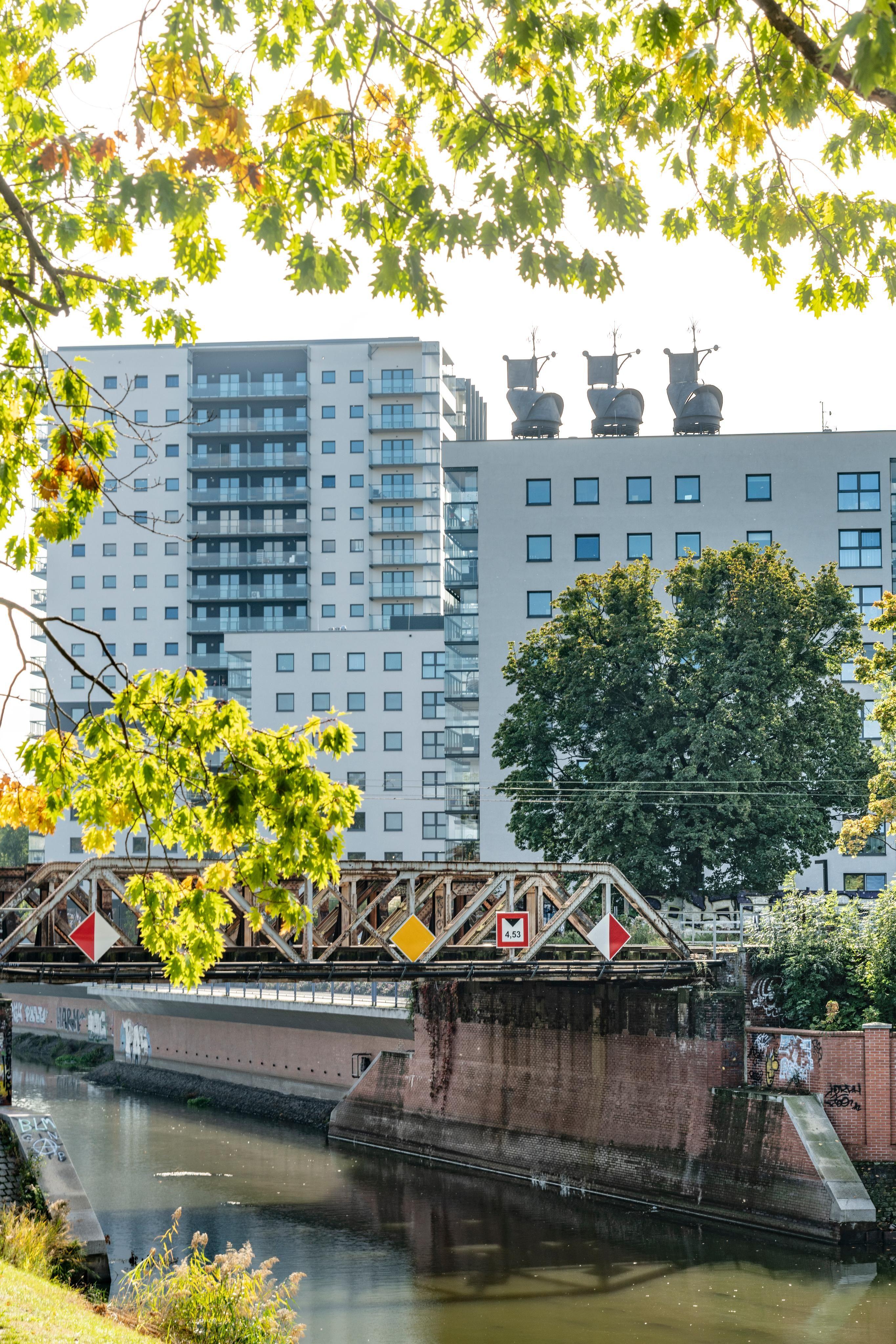 Zachowane nasady wiatrowe ulokowano w historycznej lokalizacji na osi widokowej.jpg