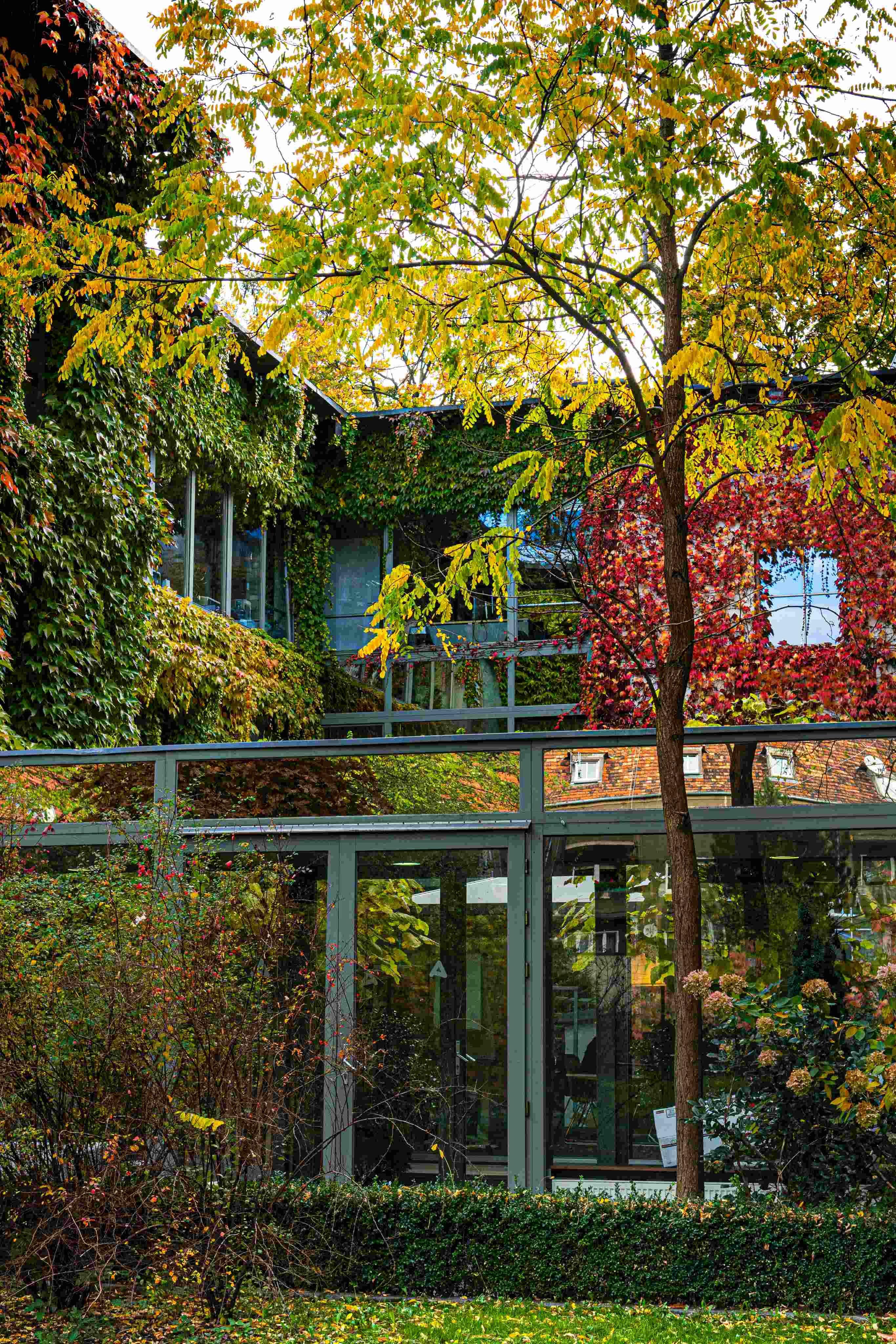 galeria 5 Szklany łącznik pomiędzy nowa a starą częścią budynku.jpg